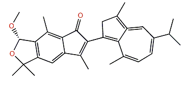 Anthogorgiene Q